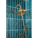 83965-PG Bathroom/Bathroom Tub & Shower Faucets/Showerheads