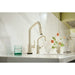 64963LF-PN Kitchen/Kitchen Faucets/Bar & Prep Faucets