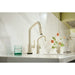 64963LF-PN Kitchen/Kitchen Faucets/Bar & Prep Faucets