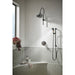 85735-BLGL Bathroom/Bathroom Tub & Shower Faucets/Handshowers