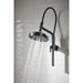 87435-BLGL Bathroom/Bathroom Tub & Shower Faucets/Showerheads