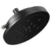 87435-BLSL Bathroom/Bathroom Tub & Shower Faucets/Showerheads