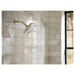 UTS4912EPBG Bathroom/Bathroom Tub & Shower Faucets/Shower Only Faucet Trim