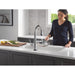 9182TL-AR-PR-DST Kitchen/Kitchen Faucets/Pull Down Spray Faucets