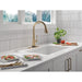 9182TL-CZ-PR-DST Kitchen/Kitchen Faucets/Pull Down Spray Faucets