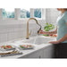 9182TL-CZ-PR-DST Kitchen/Kitchen Faucets/Pull Down Spray Faucets