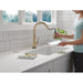 9182TL-CZ-PR-DST Kitchen/Kitchen Faucets/Pull Down Spray Faucets