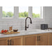 9190TL-RB-DST Kitchen/Kitchen Faucets/Pull Down Spray Faucets