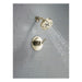 T14259-PN Bathroom/Bathroom Tub & Shower Faucets/Shower Only Faucet Trim