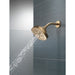 52663-CZ-PR Bathroom/Bathroom Tub & Shower Faucets/Showerheads