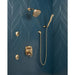 52663-CZ-PR Bathroom/Bathroom Tub & Shower Faucets/Showerheads