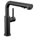 16879-BL-DST Kitchen/Kitchen Faucets/Pull Out Spray Faucets