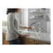 16879-DST Kitchen/Kitchen Faucets/Pull Out Spray Faucets