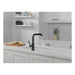 16943-BL-DST Kitchen/Kitchen Faucets/Pull Out Spray Faucets
