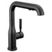 16943-BL-DST Kitchen/Kitchen Faucets/Pull Out Spray Faucets