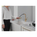 16943-CZ-DST Kitchen/Kitchen Faucets/Pull Out Spray Faucets