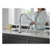19802TLZ-DST Kitchen/Kitchen Faucets/Pull Down Spray Faucets
