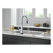 19802TLZ-DST Kitchen/Kitchen Faucets/Pull Down Spray Faucets