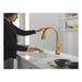 19802TLZ-GB-DST Kitchen/Kitchen Faucets/Pull Down Spray Faucets
