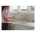 19802Z-GB-DST Kitchen/Kitchen Faucets/Pull Down Spray Faucets