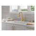 19802Z-GB-DST Kitchen/Kitchen Faucets/Pull Down Spray Faucets
