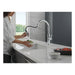 19867LF-DST Kitchen/Kitchen Faucets/Pull Down Spray Faucets