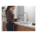 19867LF-CZ Kitchen/Kitchen Faucets/Pull Down Spray Faucets