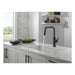 19868LF-BL Kitchen/Kitchen Faucets/Pull Down Spray Faucets