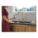 19868LF-CZ Kitchen/Kitchen Faucets/Pull Down Spray Faucets