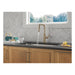 19868LF-CZ Kitchen/Kitchen Faucets/Pull Down Spray Faucets