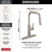 19868LF-SS Kitchen/Kitchen Faucets/Pull Down Spray Faucets