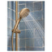 3558EPBZG Bathroom/Bathroom Tub & Shower Faucets/Handshowers