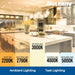 776204 Lighting/Bulbs/LED Bulbs