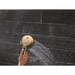 56000-CZ-PR Bathroom/Bathroom Tub & Shower Faucets/Showerheads