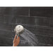 56000-SS-PR Bathroom/Bathroom Tub & Shower Faucets/Showerheads