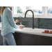 9659-BL-DST Kitchen/Kitchen Faucets/Pull Down Spray Faucets