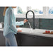 9659-BL-DST Kitchen/Kitchen Faucets/Pull Down Spray Faucets