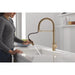 9659-CZ-DST Kitchen/Kitchen Faucets/Pull Down Spray Faucets