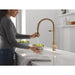 9659-CZ-DST Kitchen/Kitchen Faucets/Pull Down Spray Faucets