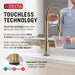9659TL-CZ-DST Kitchen/Kitchen Faucets/Pull Down Spray Faucets