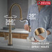 9659TL-CZ-DST Kitchen/Kitchen Faucets/Pull Down Spray Faucets