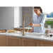 9659TL-CZ-DST Kitchen/Kitchen Faucets/Pull Down Spray Faucets