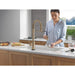 9659TL-CZ-DST Kitchen/Kitchen Faucets/Pull Down Spray Faucets