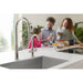 AUR-PD-SNI Kitchen/Kitchen Faucets/Pull Down Spray Faucets