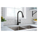 7803BL Kitchen/Kitchen Faucets/Pull Down Spray Faucets