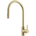 EOS-PD-GLD Kitchen/Kitchen Faucets/Pull Down Spray Faucets