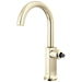 61006LF-PNLHP-L Kitchen/Kitchen Faucets/Bar & Prep Faucets