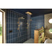 81422-GL Bathroom/Bathroom Tub & Shower Faucets/Showerheads