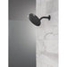 52101-BL Bathroom/Bathroom Tub & Shower Faucets/Showerheads