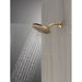 52101-CZ-PR Bathroom/Bathroom Tub & Shower Faucets/Showerheads